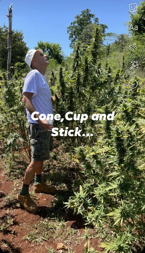 Cone, Cup and Stick - Negril Jamaica